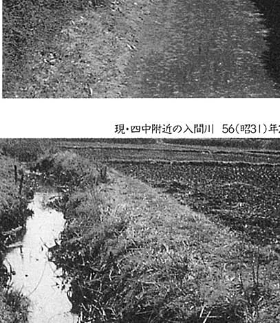 入間川(1956年)