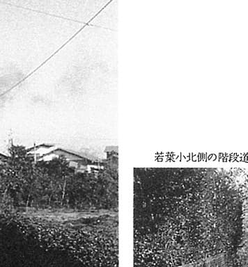 若葉小北側の階段道(1960年)
