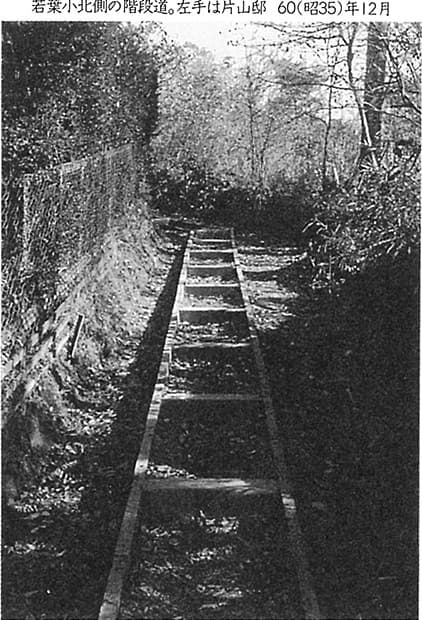 若葉小北側の階段道(1960年)