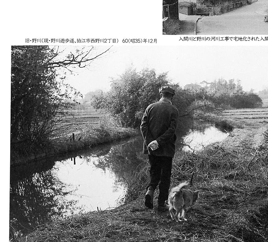 旧・野川(1960年)