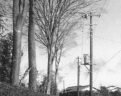 若葉小北側の小径(1960年)