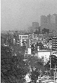 仙川から新宿副都心を望む(1970年代頃)