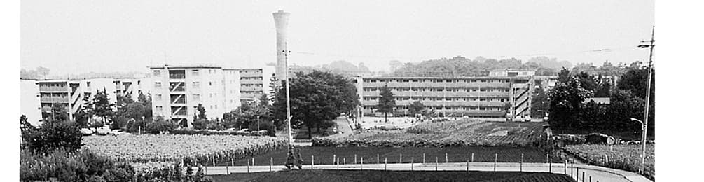 緑ヶ丘団地を望む(1980年代)