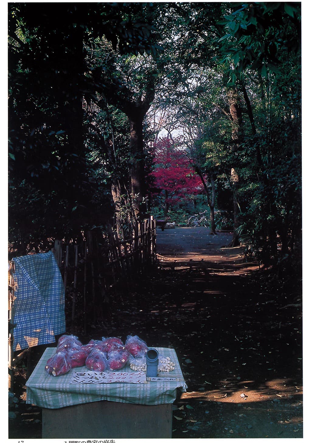 入間町の農家の庭先(2001年)