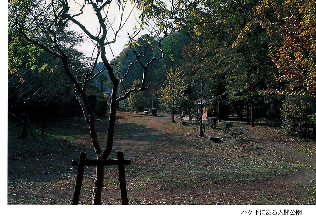 入間公園(2001年)