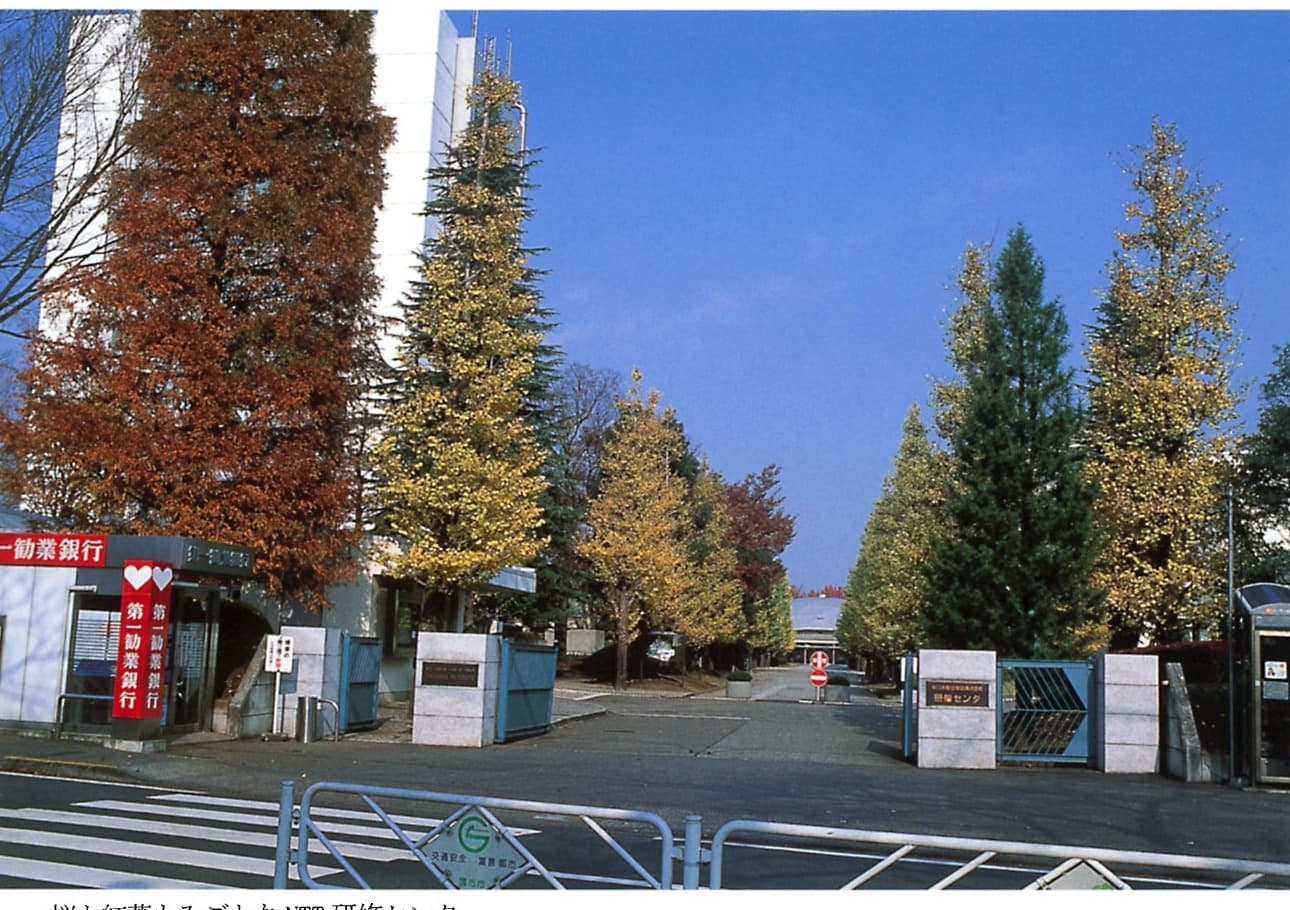 NTT前の通り、秋(2001年)