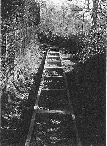 若葉小学校北の階段道（1960年）